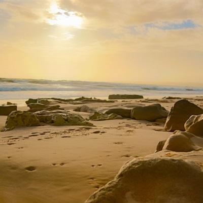 九游会AG下载手机版