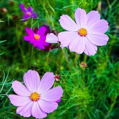 亚搏APP·官方网站